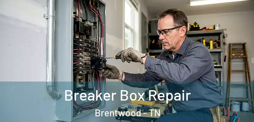  Breaker Box Repair Brentwood - TN