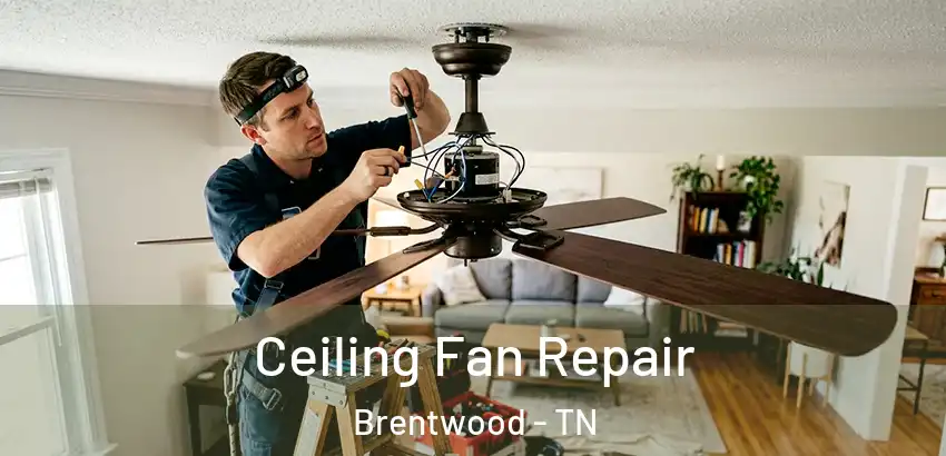 Ceiling Fan Repair Brentwood - TN