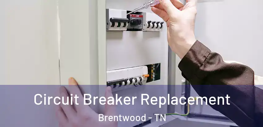  Circuit Breaker Replacement Brentwood - TN