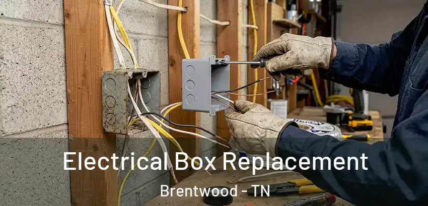 Electrical Box Replacement Brentwood - TN