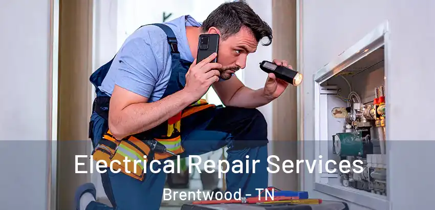  Electrical Repair Services Brentwood - TN