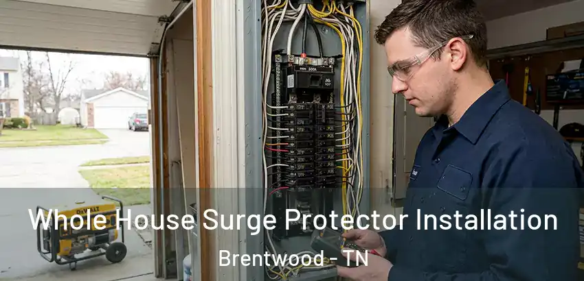  Whole House Surge Protector Installation Brentwood - TN